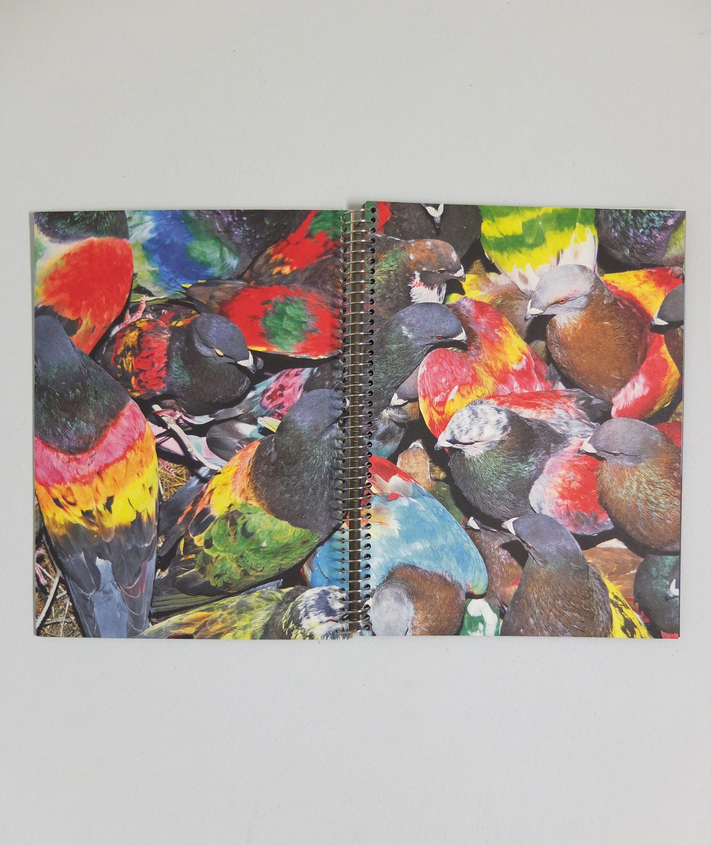 Paloma al Aire by Richard Cases (OOP)}