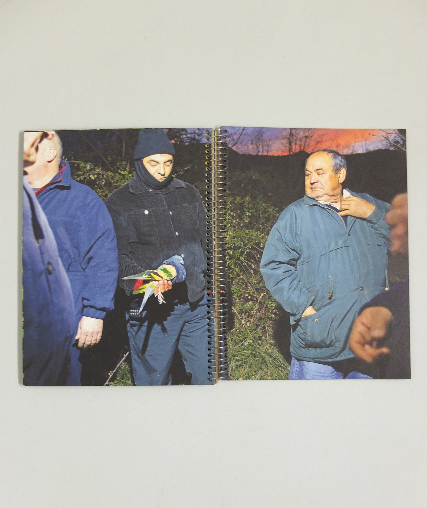 Paloma al Aire by Richard Cases (OOP)}