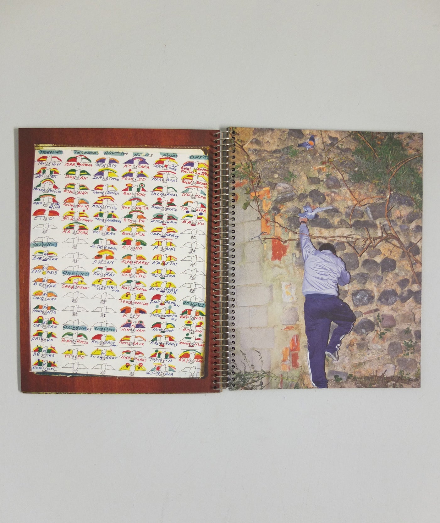 Paloma al Aire by Richard Cases (OOP)}