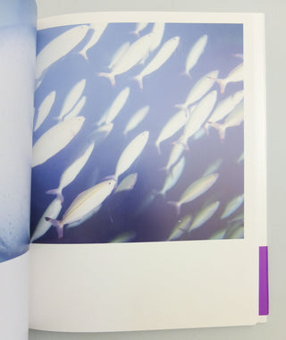 Aila by Rinko Kawauchi}