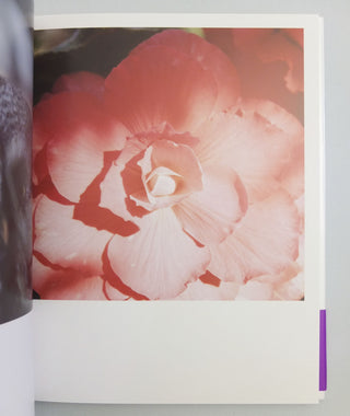 Aila by Rinko Kawauchi}