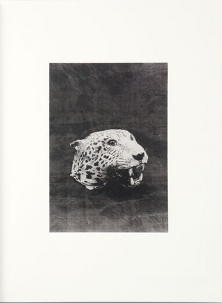 Artefakte Und Modelle 2009–2021 by Lena Amuat & Zoë Meyer}