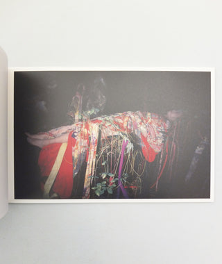 Colors by Shinya Fujiwara}