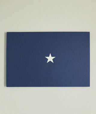 A New American Picture by Doug Rickard (OOP)}