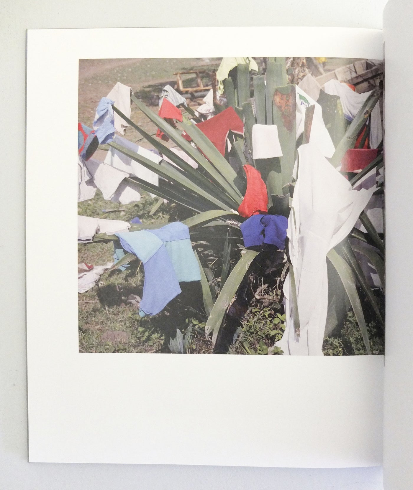 Parasomnia by Viviane Sassen  (OOP)}