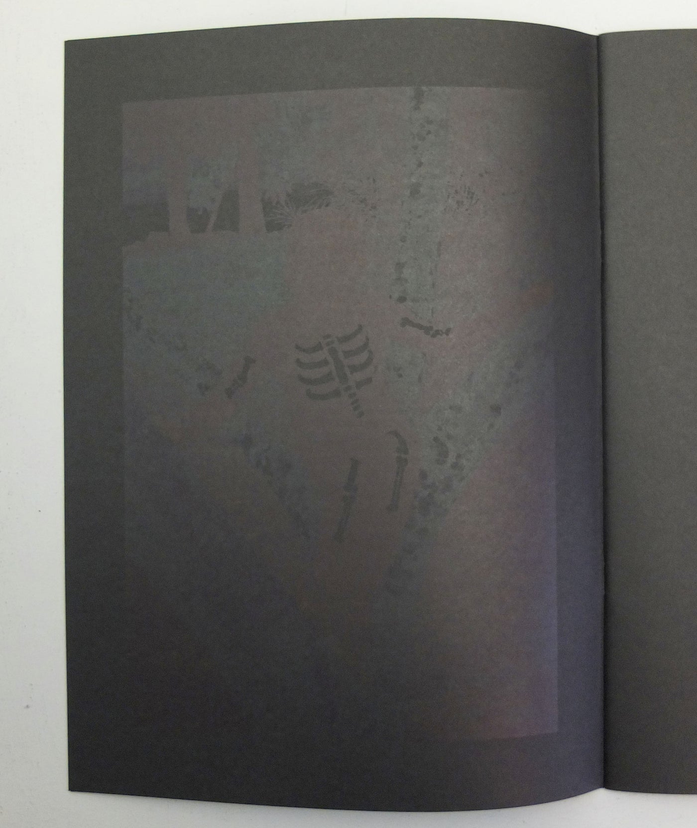 Umbra by Viviane Sassen (OOP)}
