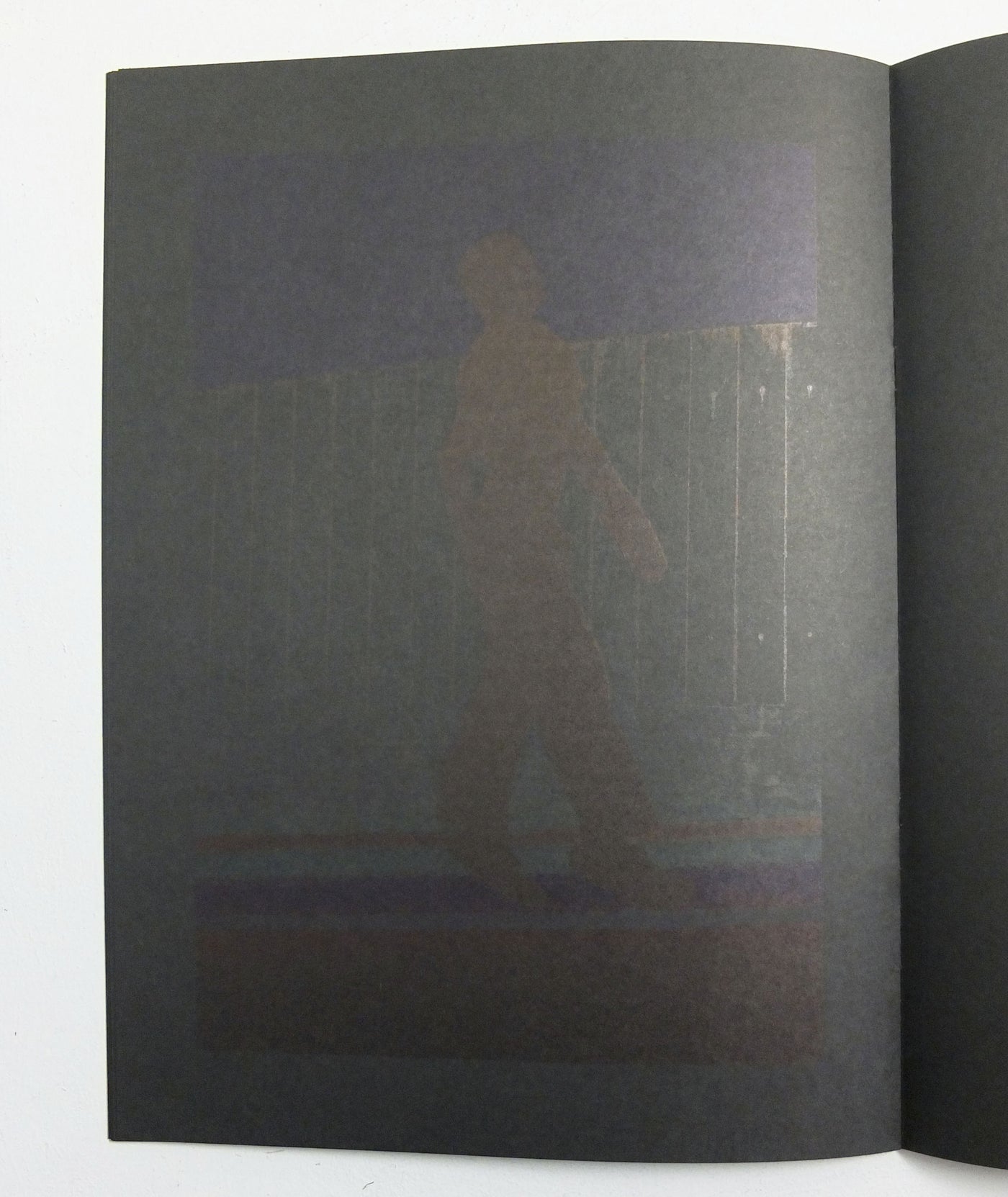 Umbra by Viviane Sassen (OOP)}