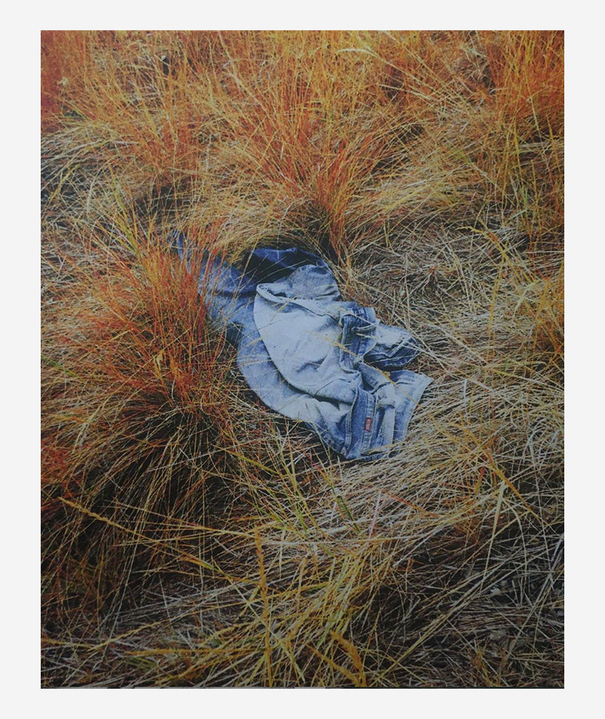 American Xerography in Colour by Matt Martin}