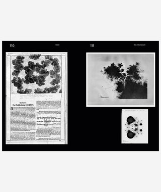 Atlas of Anomalous AI}