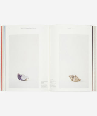 An Atlas of Rare & Familiar Colour}