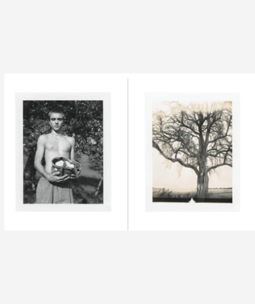 August by Collier Schorr}