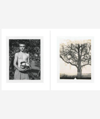August by Collier Schorr}