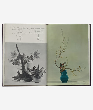 Best of Ikebana by Senei Ikenobo}