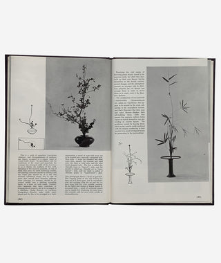 Best of Ikebana by Senei Ikenobo}