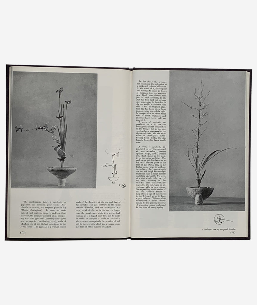 Best of Ikebana by Senei Ikenobo}