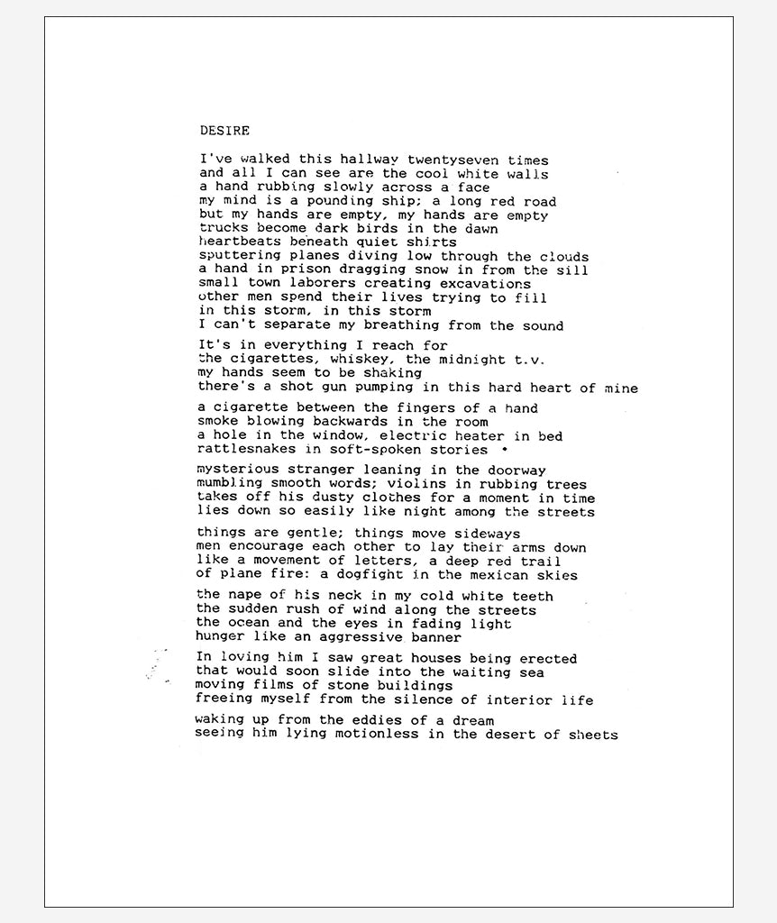 In the Shadow of Forward Motion by David Wojnarowicz}