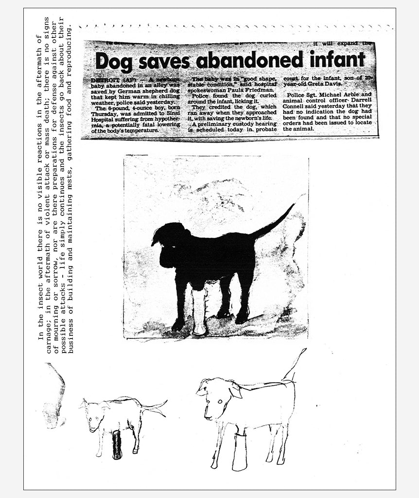 In the Shadow of Forward Motion by David Wojnarowicz}