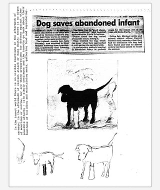 In the Shadow of Forward Motion by David Wojnarowicz}