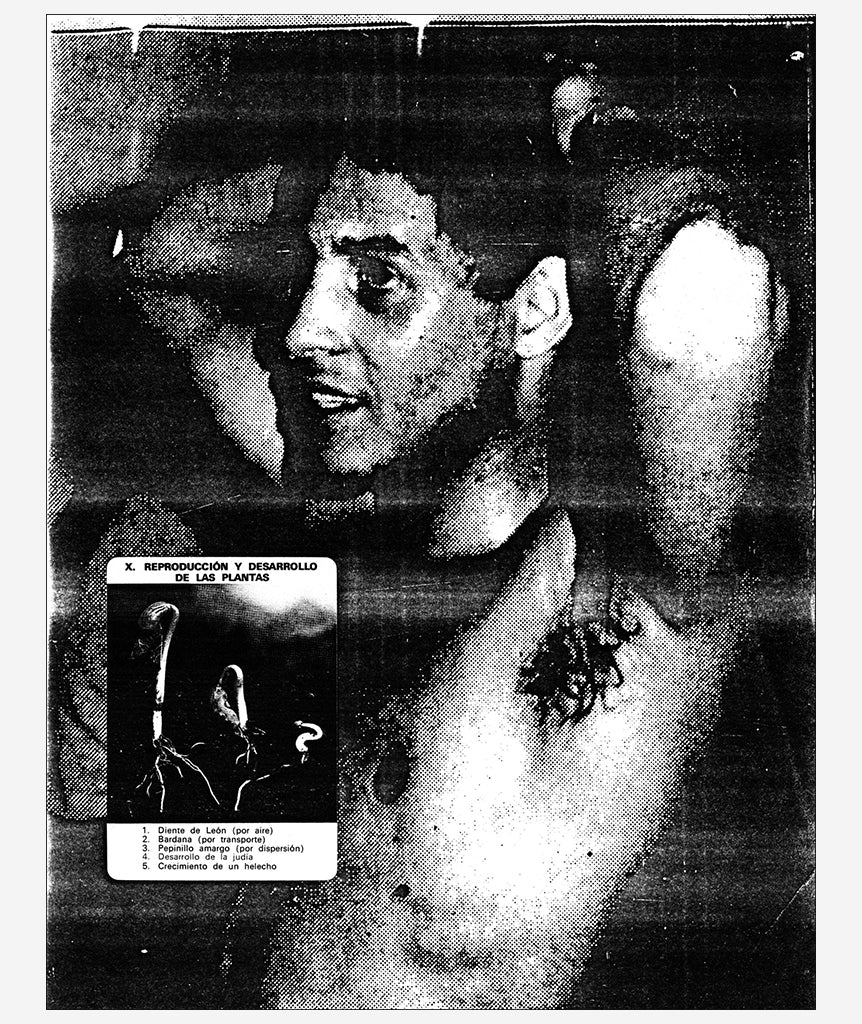 In the Shadow of Forward Motion by David Wojnarowicz}