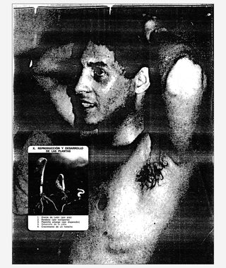 In the Shadow of Forward Motion by David Wojnarowicz}