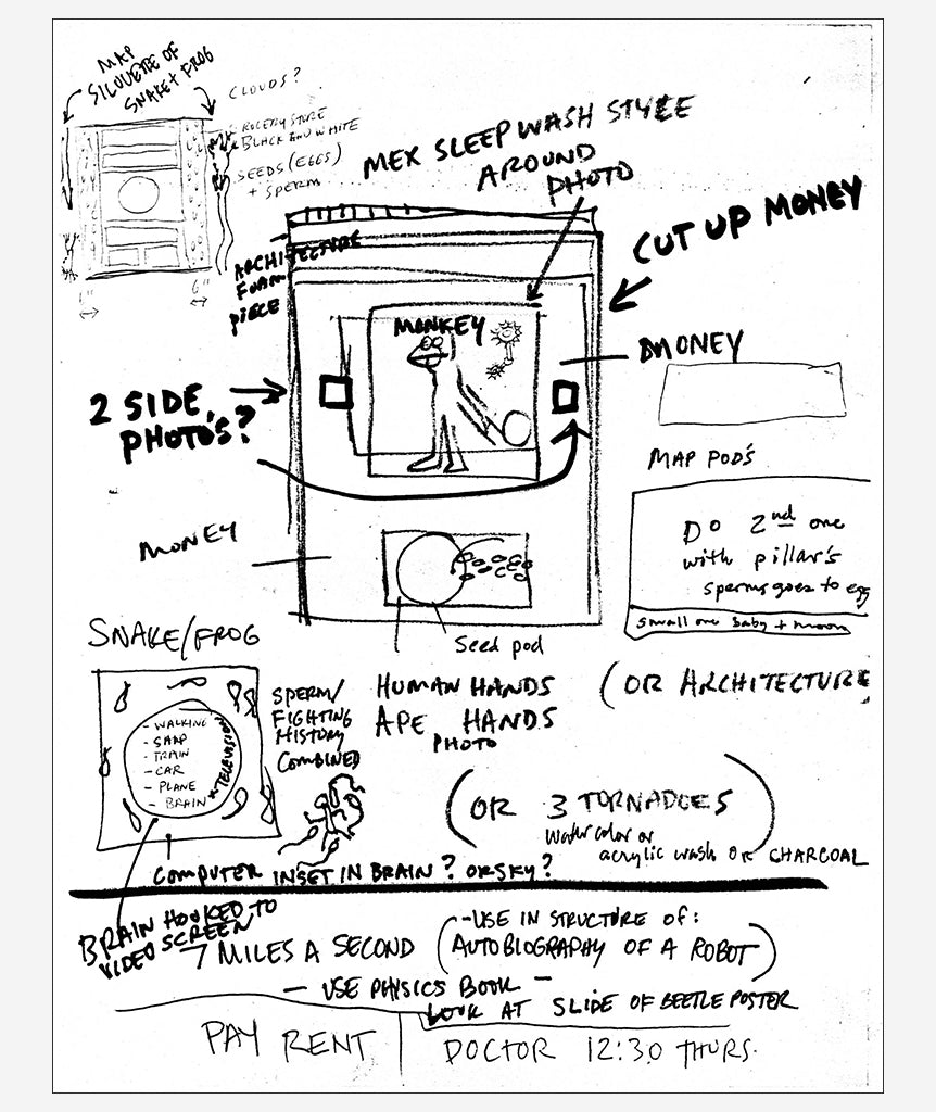 In the Shadow of Forward Motion by David Wojnarowicz}