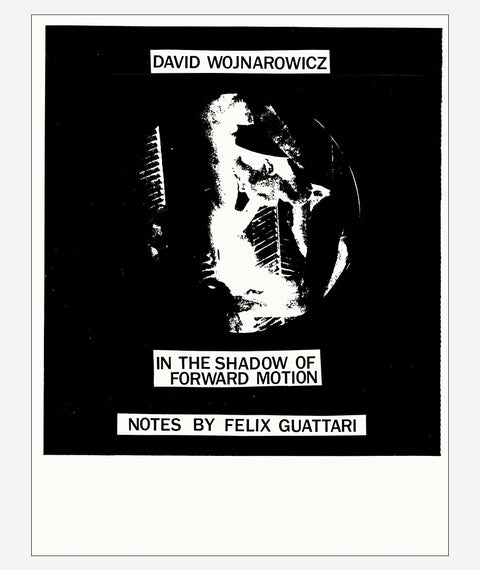 In the Shadow of Forward Motion by David Wojnarowicz