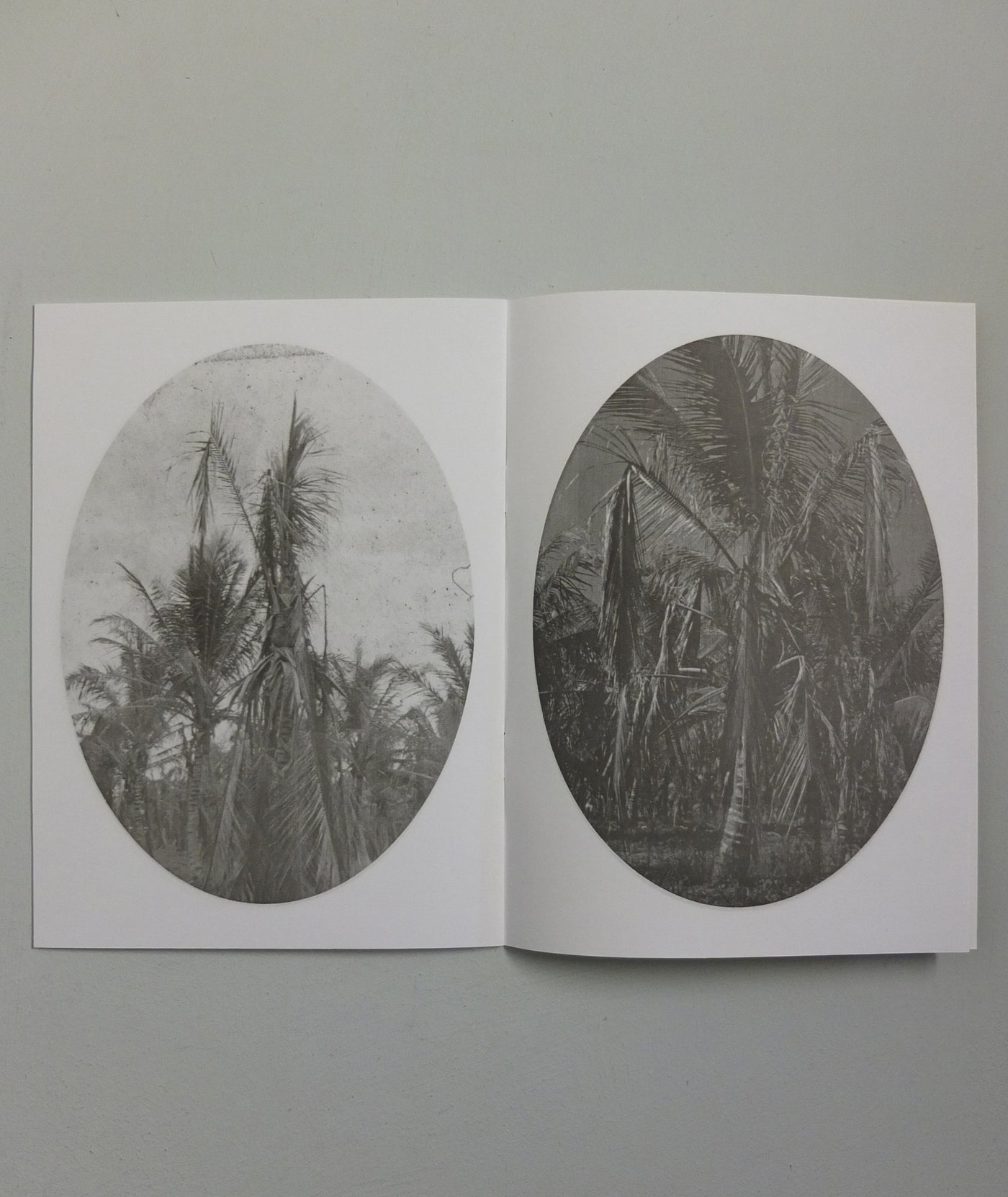 foto.zine nr.3 by Erik van der Weijde (OOP)}