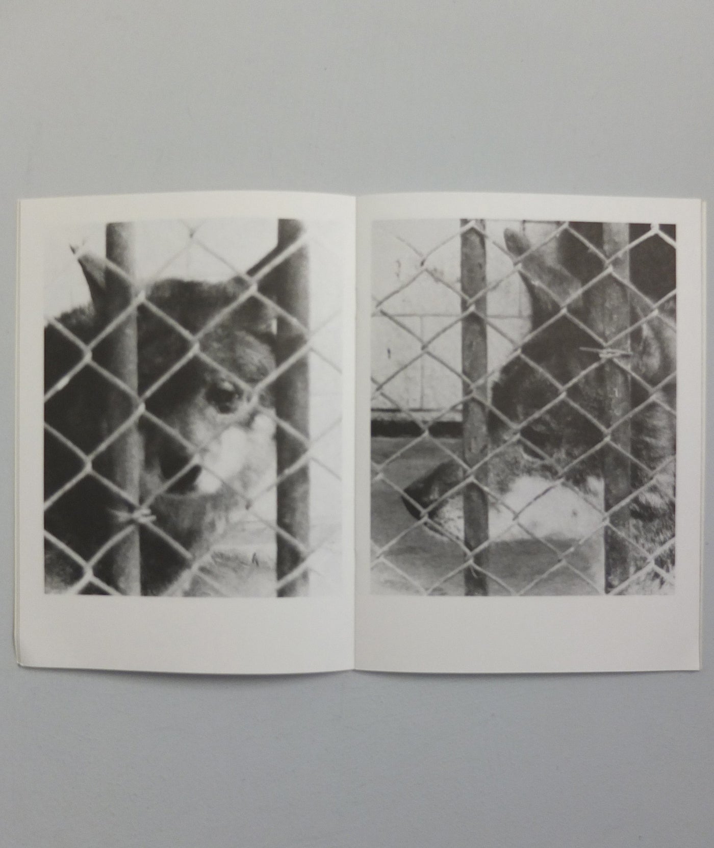 foto.zine nr.4 by Erik van der Weijde}