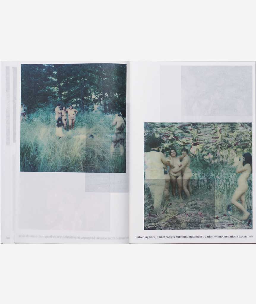 Notes on Fundamental Joy by Carmen Winant}