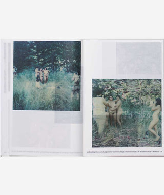 Notes on Fundamental Joy by Carmen Winant}