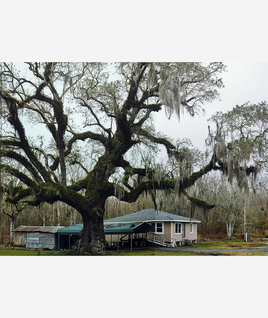 Good Morning, America by Mark Power}