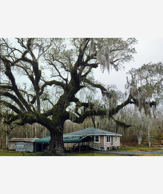 Good Morning, America by Mark Power}