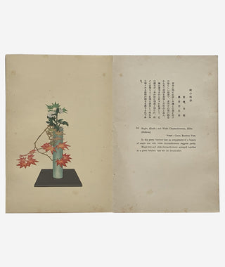 Moribana & Heikwa : Selected flower arrangements of the Ohara school}