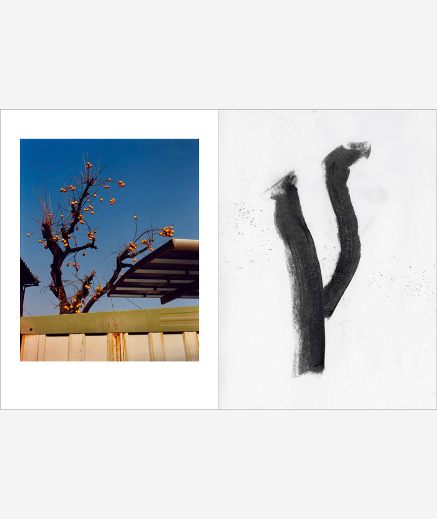 On Keeping a Notebook: Photographs and Drawings by Jamie Hawkesworth with an Essay by Joan Didion}