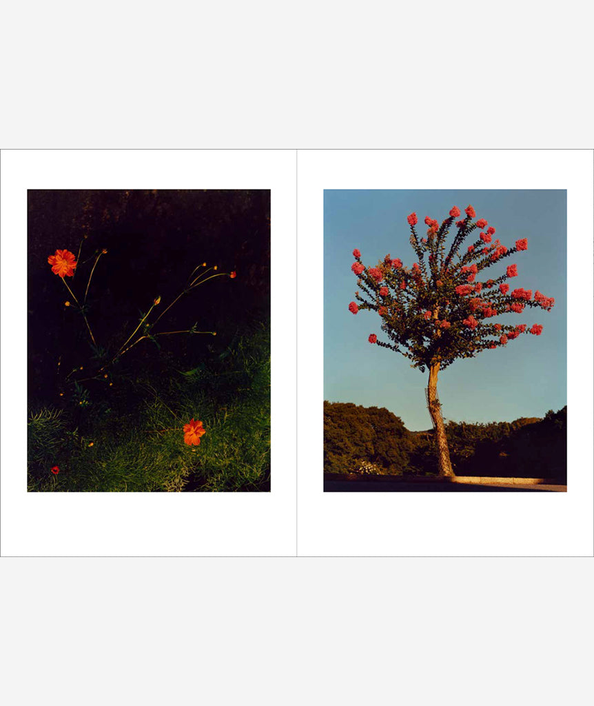 On Keeping a Notebook: Photographs and Drawings by Jamie Hawkesworth with an Essay by Joan Didion}