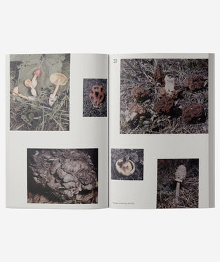 John Cage: A Mycological Foray}