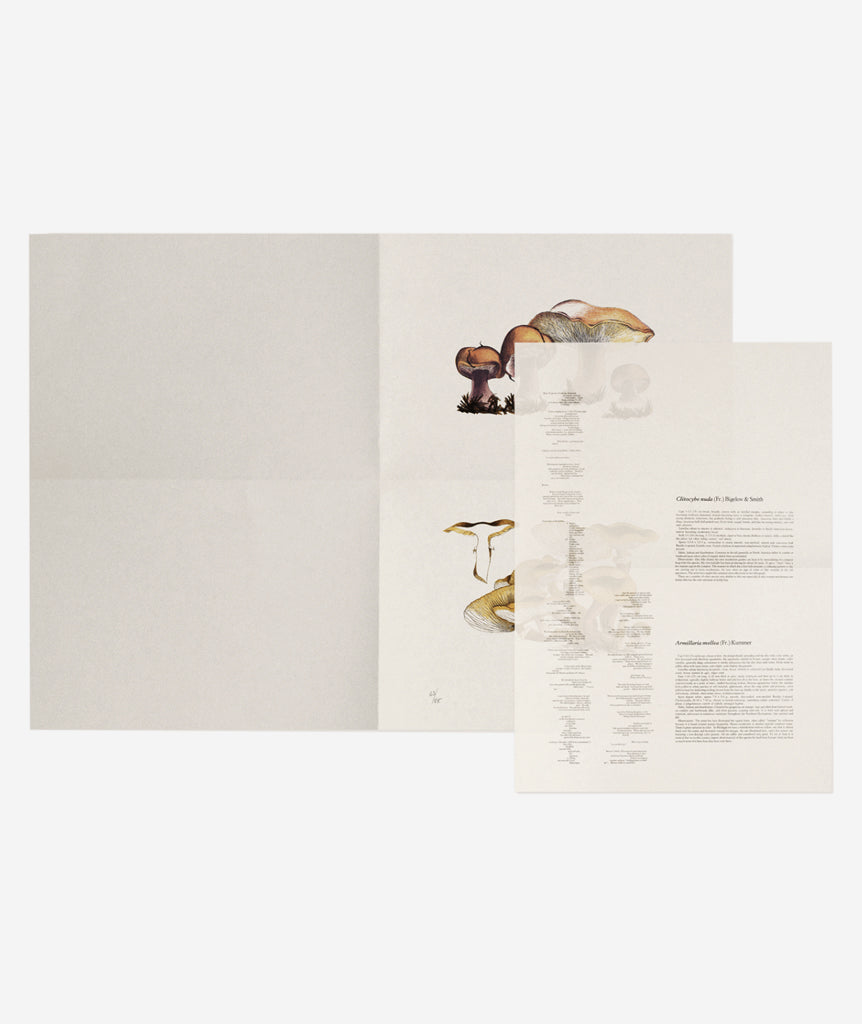 John Cage: A Mycological Foray}