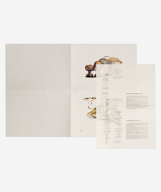 John Cage: A Mycological Foray}