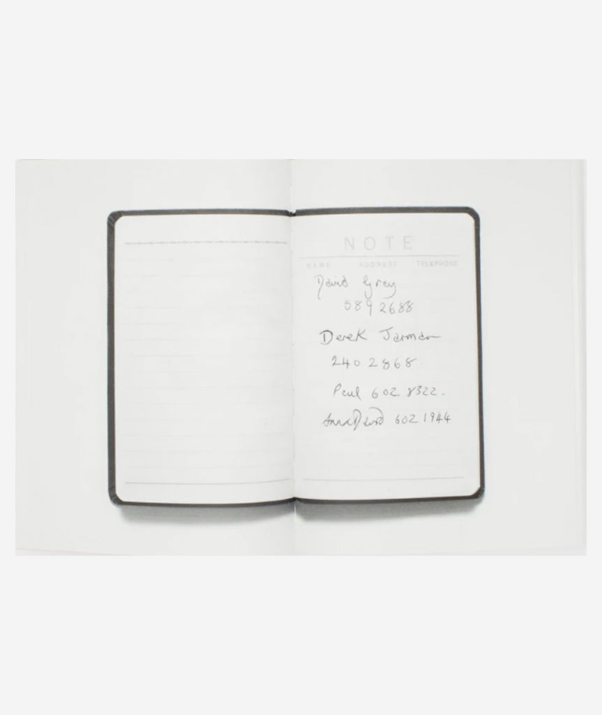 David Robilliard: Notebooks 1983-1988}