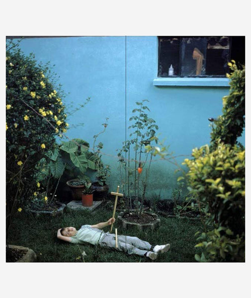 Donlon Books | Wild Flowers by Joel Meyerowitz