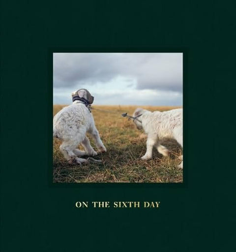 On the Sixth Day by Alessandra Sanguinetti