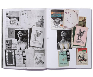 Archive of Dreams: A Surrealist Impulse}