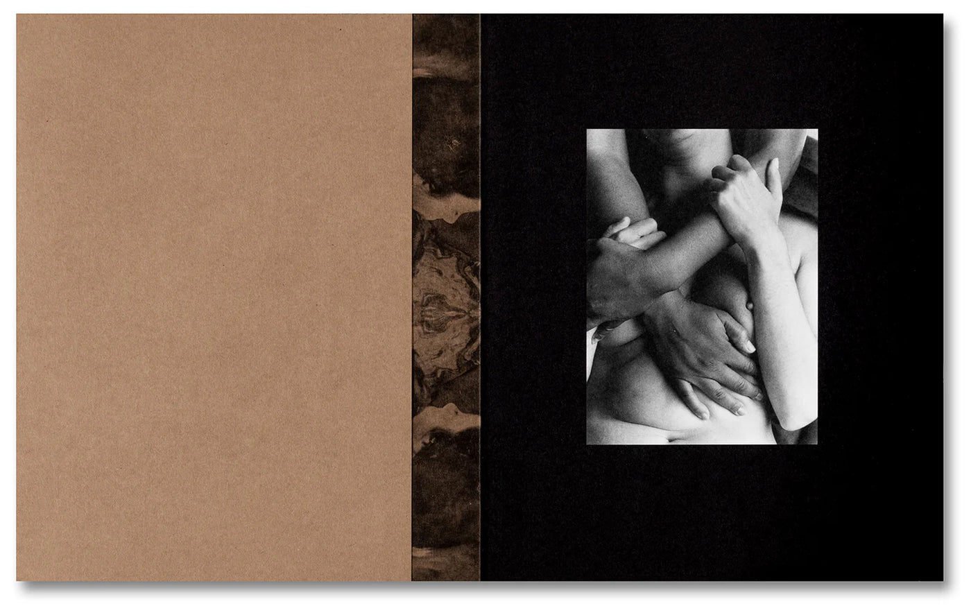 A Forest Fire Between Us by Tee A. Corinne}