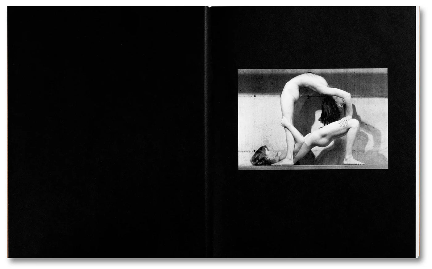 A Forest Fire Between Us by Tee A. Corinne}