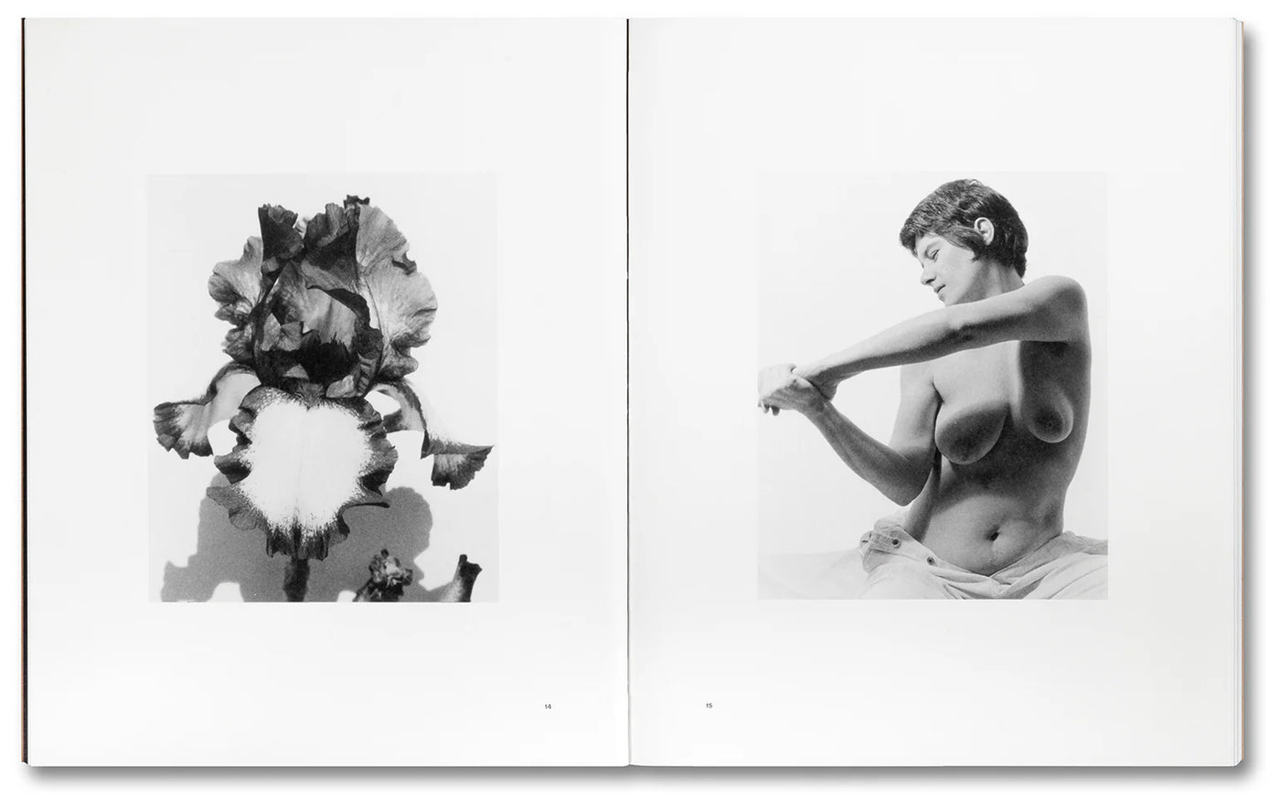 A Forest Fire Between Us by Tee A. Corinne}