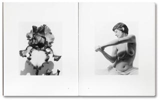 A Forest Fire Between Us by Tee A. Corinne}