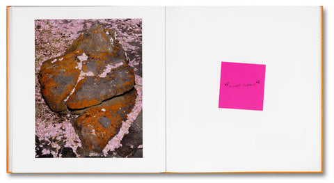 Advice for Young Artists by Alec Soth (Signed)}