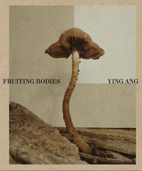 Fruiting Bodies by Ying Ang