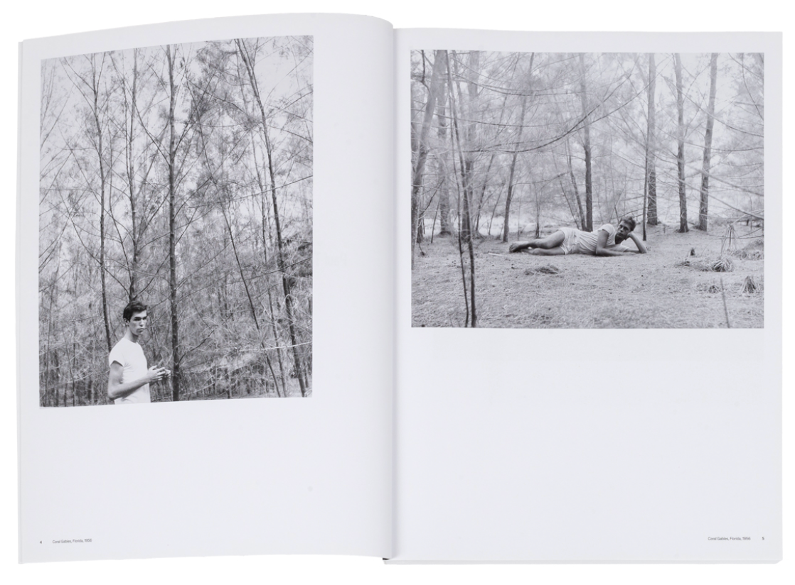 Stay Away from Nothing: Paul Thek & Peter Hujar}