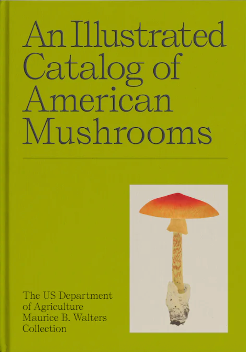 An Illustrated Catalog of American Mushrooms}